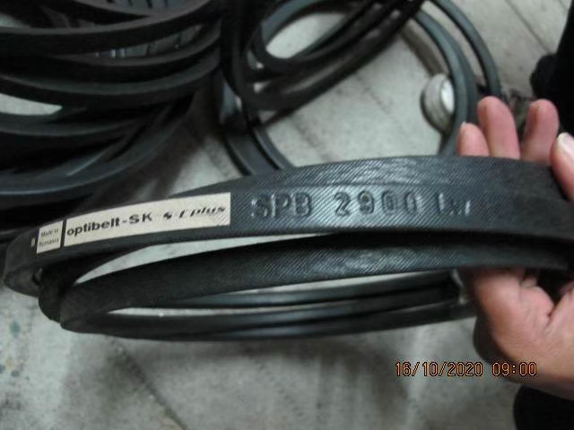 Belt Photo 4
